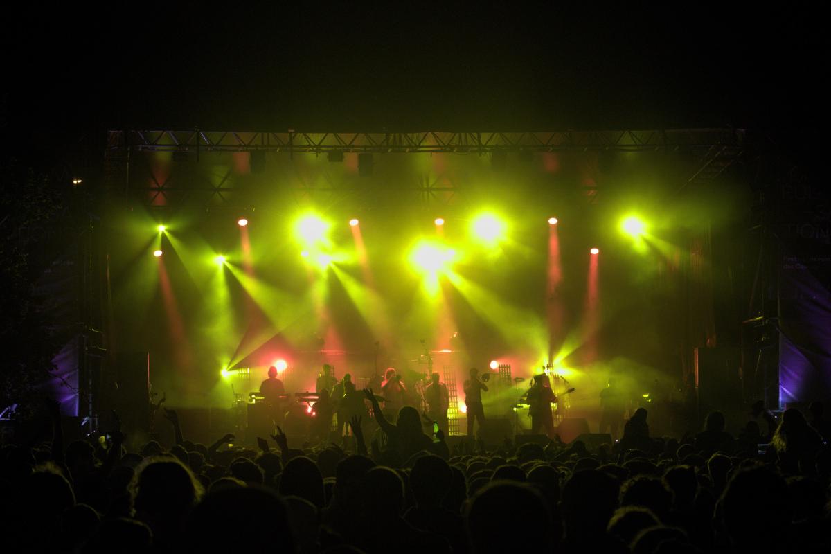 Le groupe de reggae Danakil, devant son public, lors du festival Campulsations, à Pessac (Gironde).
