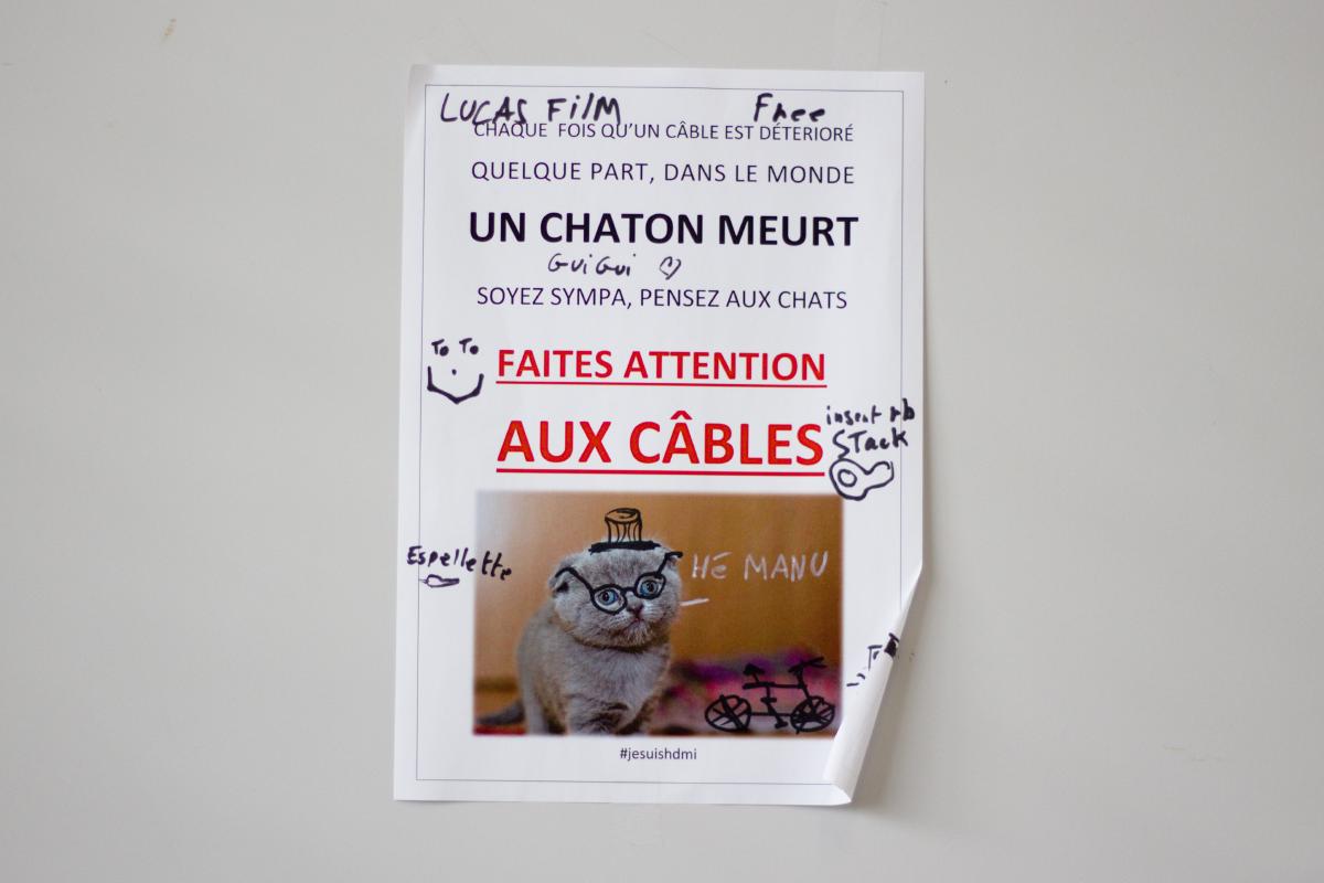 Un chat festif, sur une affiche collée dans une salle du bâtiment A22.