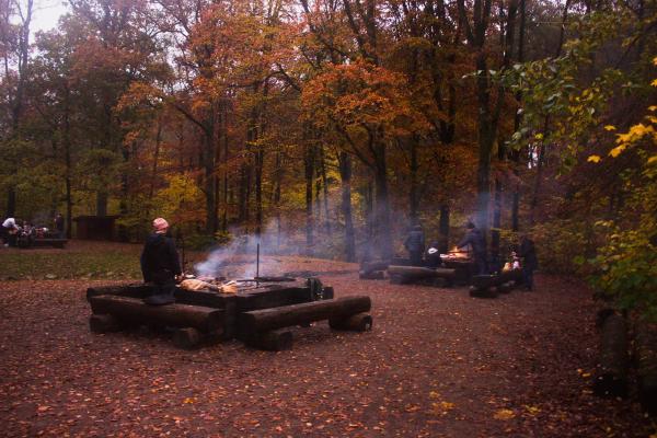 Des Suédois font un barbecue en pleine forêt à 16h.
